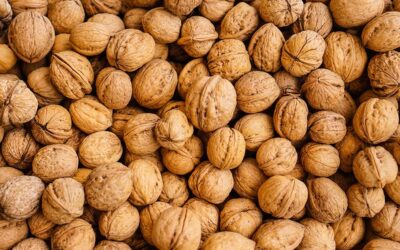 بهترین کود شیمیایی برای درخت گردو