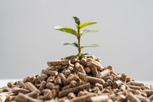 کود مناسب برای زاموفیلیا چه کودی است؟
